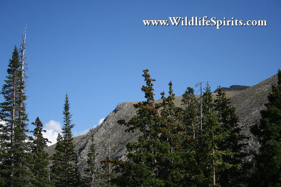 Click Picture to send as an  E-PostCard 65k 550x367